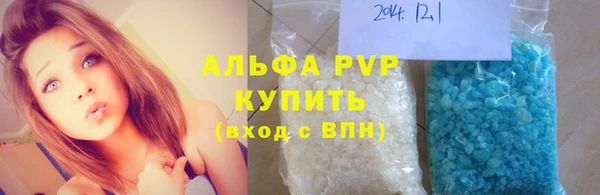 винт Анива