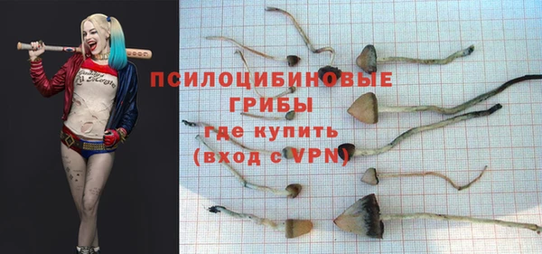 марки nbome Медвежьегорск