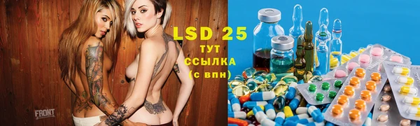 мдпв Верея