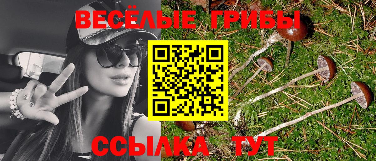 Галлюциногенные грибы Magic Shrooms  Вход с VPN  Воткинск  Галлюциногенные грибы Magic Shrooms 